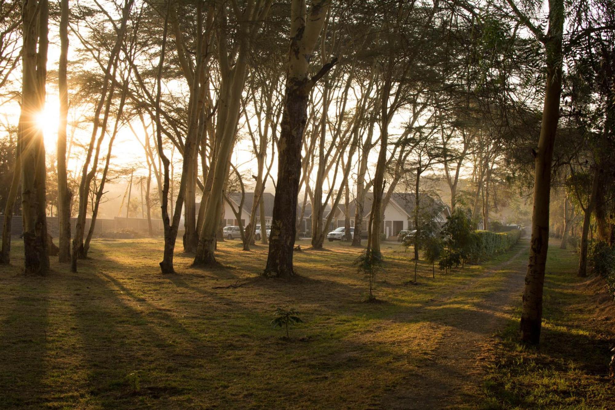 Burch'S Resort Naivasha Camping Dış mekan fotoğraf